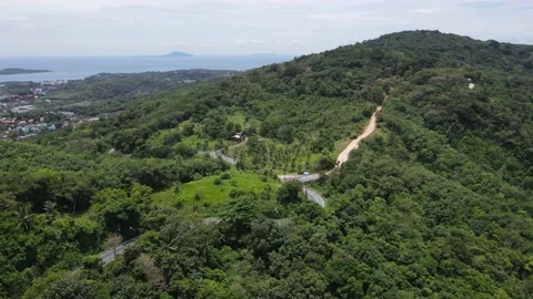 Flying over the hill Stock Footage 194379791