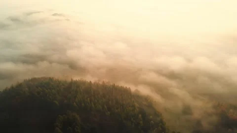 Flying Over Hills and Trees at Foggy Morning at Sunrise. Stock Footage 130273374