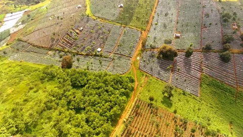 Flying over hills 動画素材 174572290