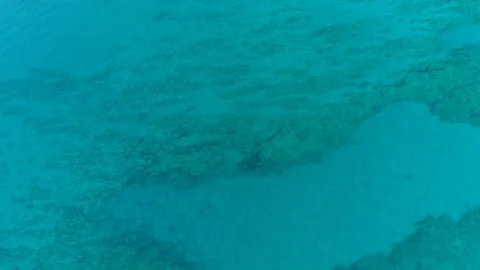Flying over a huge mass of clear blue water. Video stock 109454962