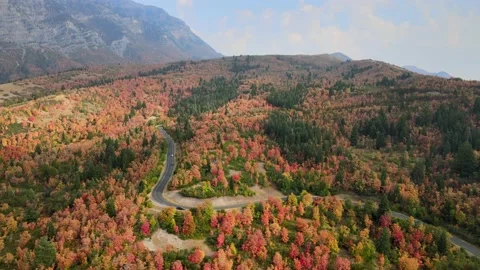 Flying over incredible fall colors across a beautiful autumn landscape Stock Footage 139662458