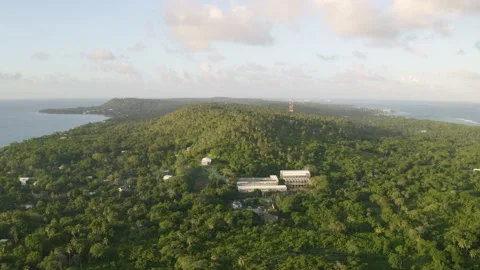 Flying Over Island Tropical Jungle at Sunset Stock Footage