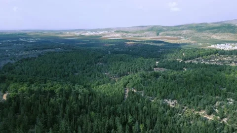 Flying over Israel Forest Stock Footage 157333383
