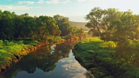 Flying over the Istra River with trees along its banks at a magical sunrise Stock Footage 149780412