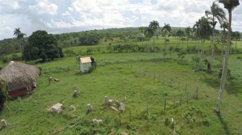 Flying over the jungle, house. Stock Footage 44753975