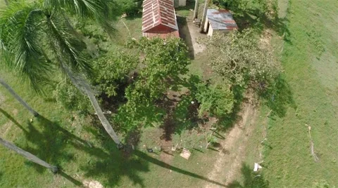 Flying over the jungle, house. Stock Footage 44753998