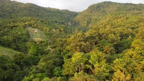 Flying over jungles on Koh Samui in Thailand Stock Footage 236640270