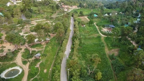 Flying over jungles on Koh Samui in Thailand Stock Footage 236640301