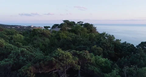 Flying over the juniper-covered mountains, we see a panorama of the calm sea Stock Footage 210552556