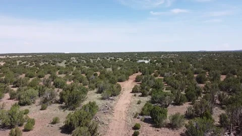 Flying Over Juniper Trees Show Low Arizona Drone Aerial Footage Birds Eye View Video stock 202291118