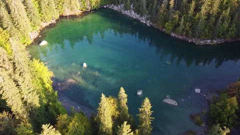Flying over the "Lac Vert" (green lake) and tilt up to the pine forest. Video stock 140782310