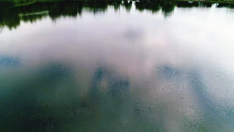 Flying over a lake. close up. trees are reflected in water Stock Footage 95497305