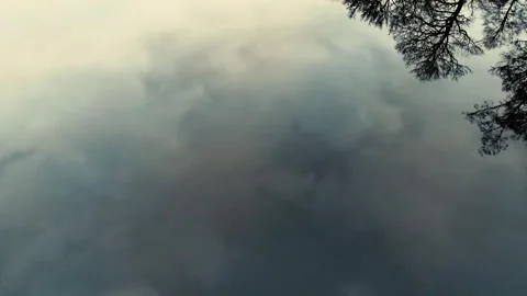 Flying over lake with cloud reflecting in the water, passing by grass and trees Stock Footage 303963402