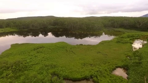 Flying over the lake. Copter flies forward and flies into trees Stock Footage 72608317