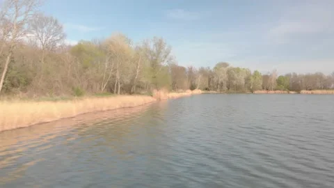 Flying over the lake with dry grass on the shore Stock Footage 232719210
