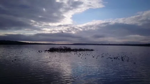 Flying over a lake Stock Footage 77716314