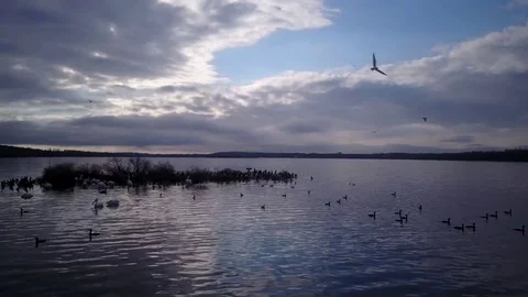 Flying over a lake Stock Footage 77716364