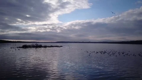 Flying over a lake Stock Footage 77716439