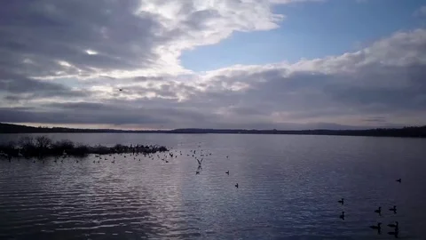 Flying over a lake Stock Footage 77716502