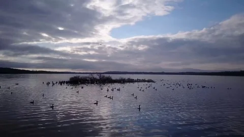 Flying over a lake Video stock 77716558