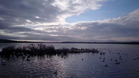 Flying over a lake Video stock 77716563