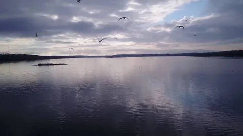 Flying over a lake Stock Footage 77716828
