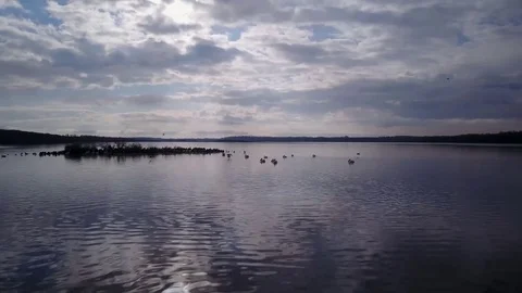 Flying over a lake Stock Footage 77719079