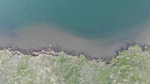 Flying over the lake Stockbeeldmateriaal 99965910