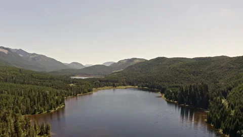 Flying over lake in forest Stock Footage 139503820