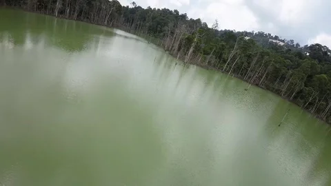 Flying over lake in the forest Stock Footage 246679164