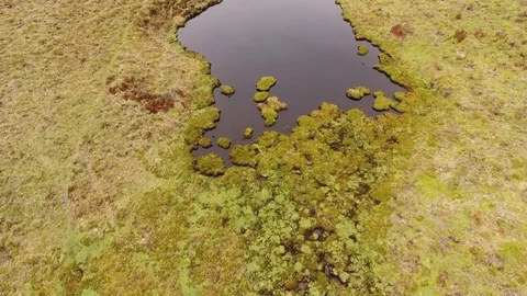 Flying over a lake on the paramo high in the Andes Vídeo Stock 84368582
