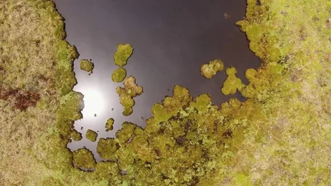 Flying over a lake on the paramo high in the Andes Vídeo Stock 84373002
