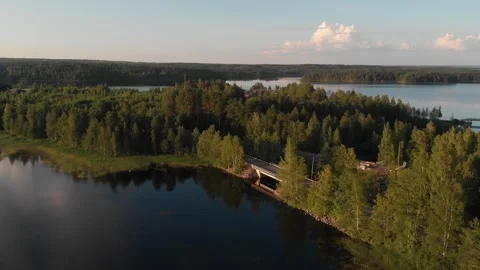 Flying over lake, trees and roads. Stock Footage 134801410