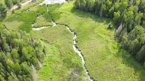 Flying over lakes and forest in Minnesota Stock-Footage 256043993