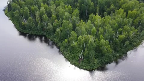 Flying over lakes and forest in Minnesota 動画素材 258703857