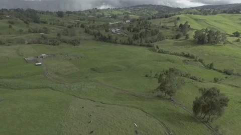 Flying over the landscape of hills, grass, animals, trees and bushes Stock Footage 219832853