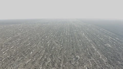 Flying over a large field with a dence fog covering it Видео 149305768