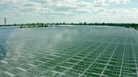 Flying over a large greenhouse with vegetables. Large industrial greenhouses. Vidéo 130536588
