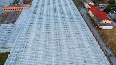 Flying over a large greenhouse with vegetables. Glass roof frames. Stock Footage 166844196