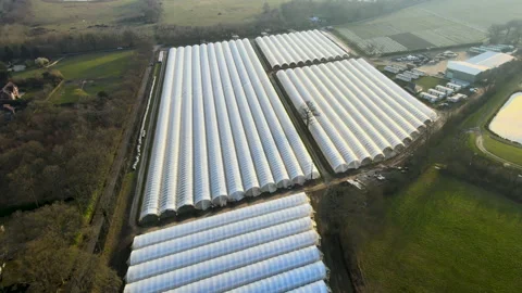 Flying over large poly tunnel farm for agriculture Stock Footage 150070595