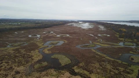 Flying over the large swamp 動画素材 142316950