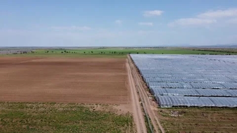 Flying over a large vegetable greenhouse, a greenhouse with flowers and fruits Video stock 154559412