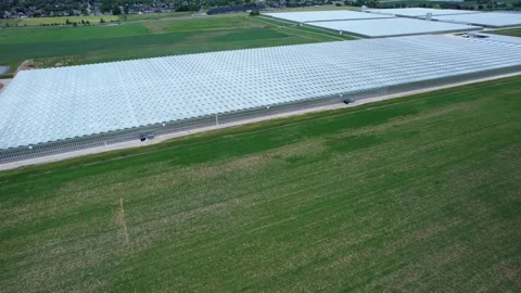 Flying over large vegetables greenhouse growing tomatoes. Greenhouse with a.. 動画素材 245398931