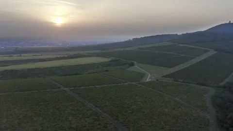 Flying over a large vineyard next to a hill with a sunset panorama Stockbeeldmateriaal 138606473