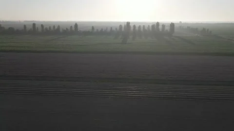 Flying Over Lavender And Corn Fields At Sunrise Stock Footage 134438027