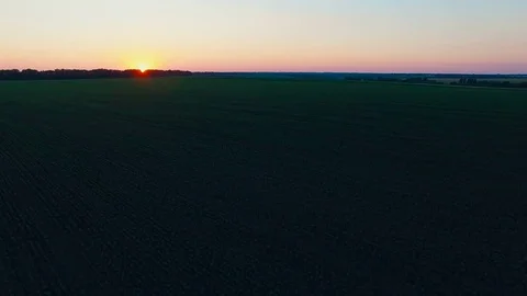 Flying over the lield at Sunset Stock Footage 74417718