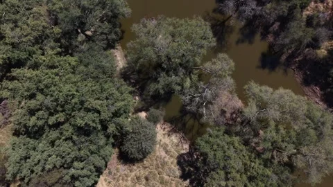Flying over the Limpopo Video stock 342124550