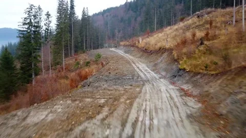 Flying Over A Logging Road In A Pine Tree Forrest Stock Footage 143637949