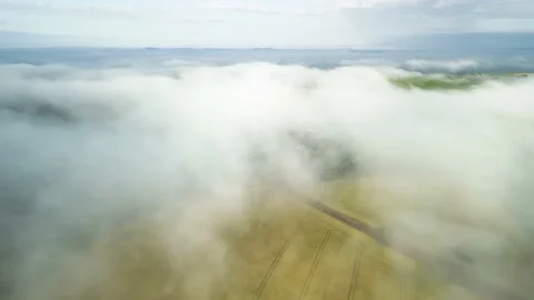 Flying over low clouds above wheat fields. Dense fog. Aerial shot. Stock Footage 234637123