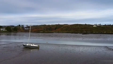Flying Over the Low Tide River dispersing seagulls in the direction of a stuck Stock Footage 232298762